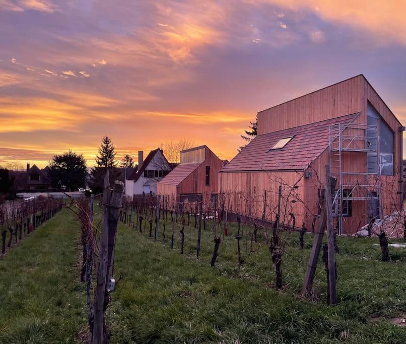 Le Cepage, Au Coeur Des Vignes. Vila Eguisheim Exterior foto