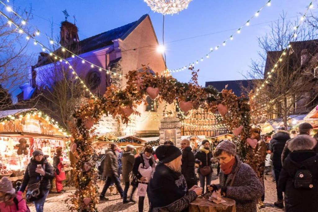 Le Cepage, Au Coeur Des Vignes. Vila Eguisheim Exterior foto